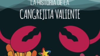 Captura-de-pantalla-2020-06-23-a-las-12.43.52-1-1024x781